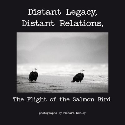 Publication preview