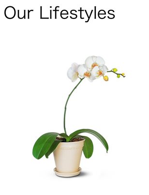 Our Lifestyles Magazine