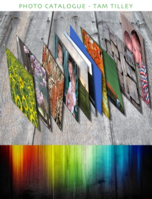 Issue 1
