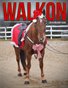 WalkOn Holiday 2014 Issue