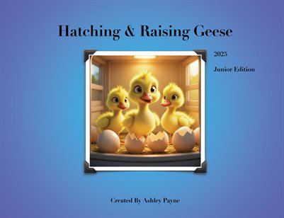 Hatching & Raising Geese