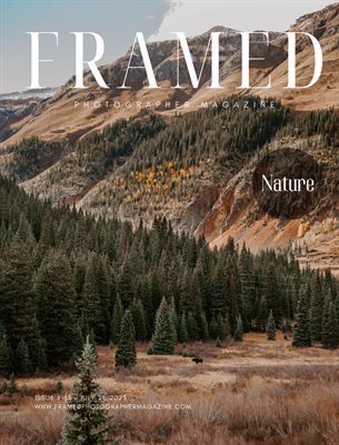 Framed Photographer Magazine, Issue 165