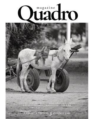 Publication preview