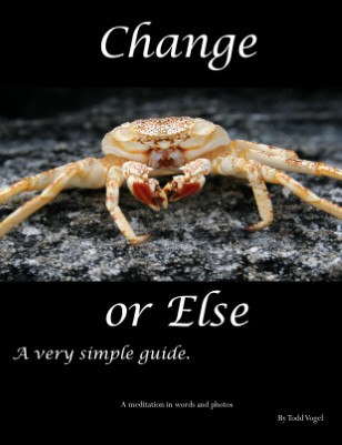 Change  - or else.