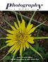 Issue 19 Yellow