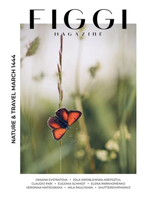 Publication preview