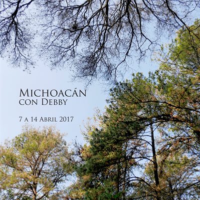 Michoacán con Debby