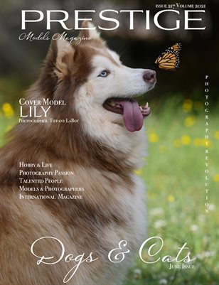 PMM_Dogs & Cats 217/2021