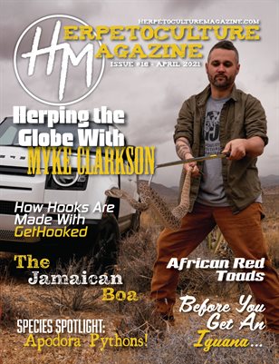 Issue #18 - April 2021