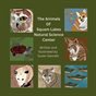 The Animals of Squam Lakes Science Center