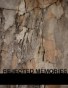 01 Rejected Memories