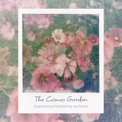 The Cosmos Garden
