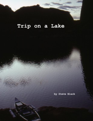 Publication preview