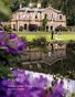 Shutter Up Magazine Issue 630 Purple