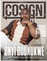 THE COSIGN EXPERIENCE -  ONYI