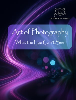 Art of Photography