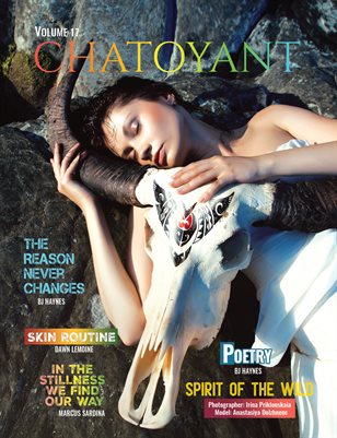 Chatoyant Volume 17 Spirit of the wild ⚡️