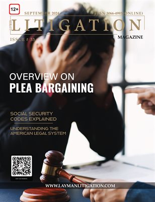 September 2024 Edition- Layman Litigation