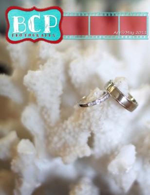 Publication preview