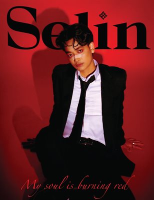 Publication preview