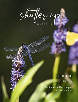 Publication preview