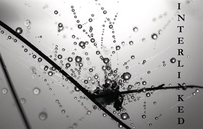INterlinked #3