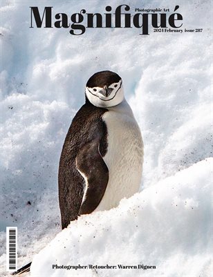 Magnifiqué Issue 287 Warren Dignen