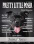 Pretty Little Poser Model Magazine - Issue 382 - Animal Antics - May 2024