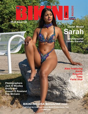 Publication preview