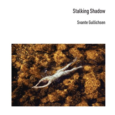 Stalking Shadow