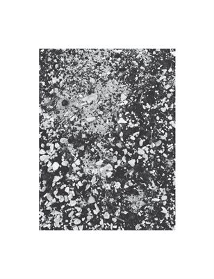 Publication preview