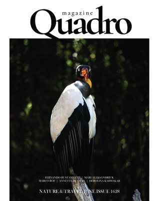 Publication preview