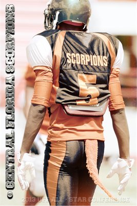 UFF 2013 All-Star Conference Posters (23)