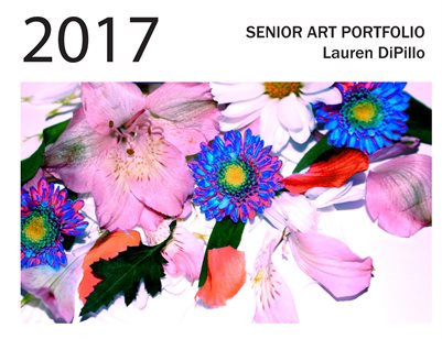 Lauren DiPillo, Senior Art Portfolio