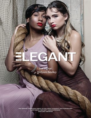 Fashion #3 (December 2016)