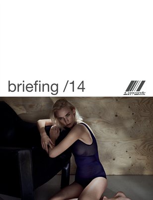 Concorde briefing /14