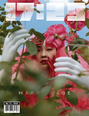 Publication preview