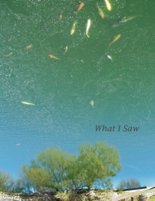 New Publication (2)