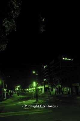 Midnight Creatures_1 - Poster