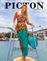 Picton Magazine December 2018 N8, Cover 1