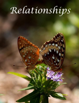 Relationship card 2