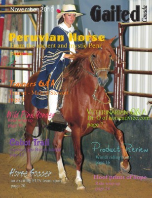 Publication preview