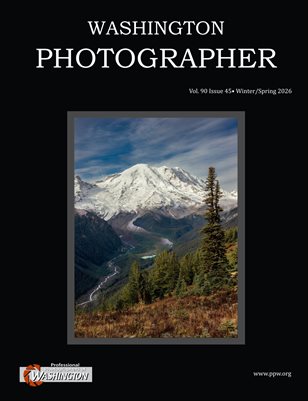 Publication preview