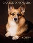 Canine Colorado: Corgis!