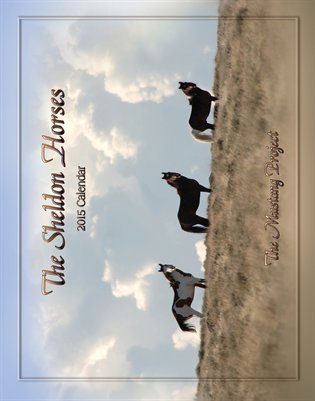 11x14 Sheldon Calender 2015