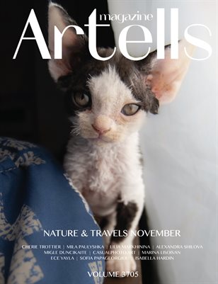 ARTELLS MAGAZINE - NATURE & TRAVELS NOVEMBER (Vol 3705)