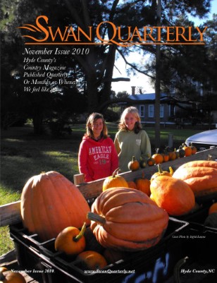 November Issue 2010