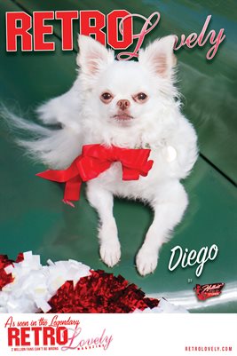 Diego Cover Poster
