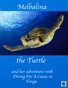 Melbalina the Turtle and her Adventures with Diving For A Cause in Tonga
