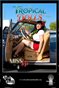 Tropical Dolls 2026 Miss Lisi Poster